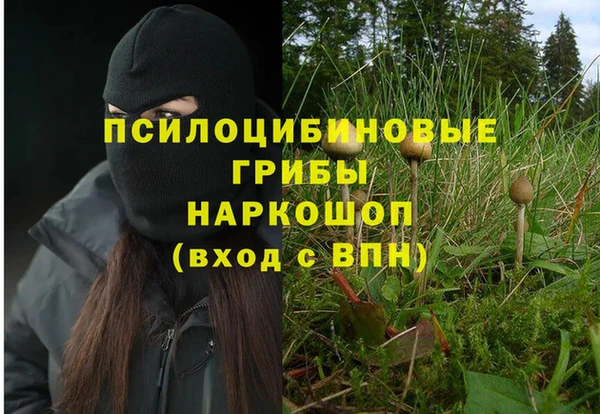 а пвп мука Аркадак