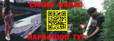 ешки Ставрополь
