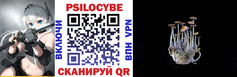 даркнет сайт  Новороссийск  Псилоцибиновые грибы прущие грибы 