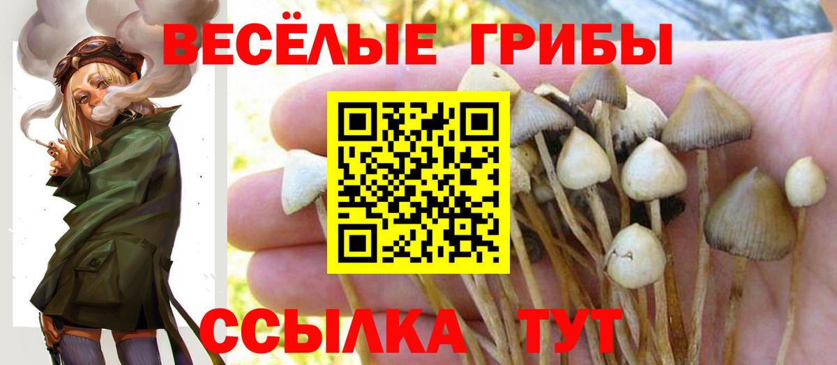 Галлюциногенные грибы GOLDEN TEACHER Новороссийск